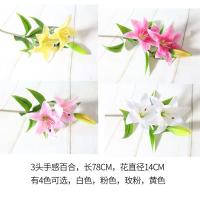 uploads/erp/collection/images/Home Garden/CongDing/XU0612295/img_b/XU0612295_img_b_4